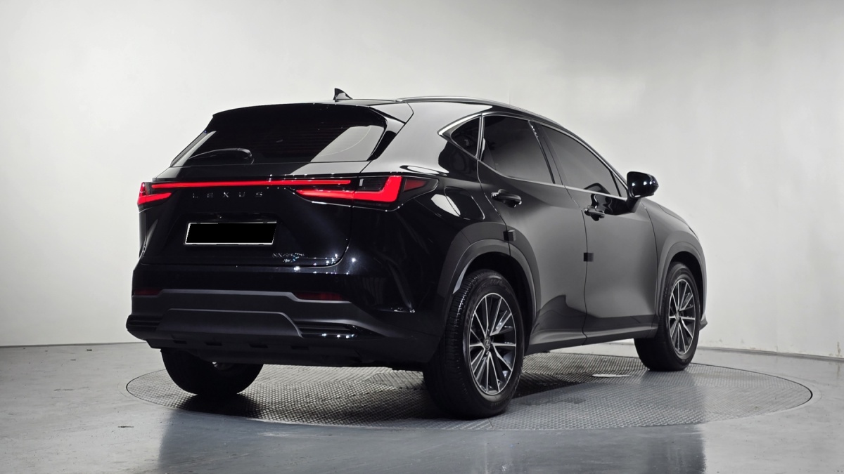Lexus NX, 2022 — фото 2 из 12