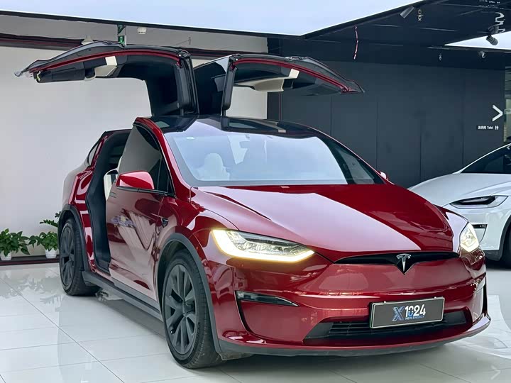 Tesla Model X, 2023 — фото 3 из 9
