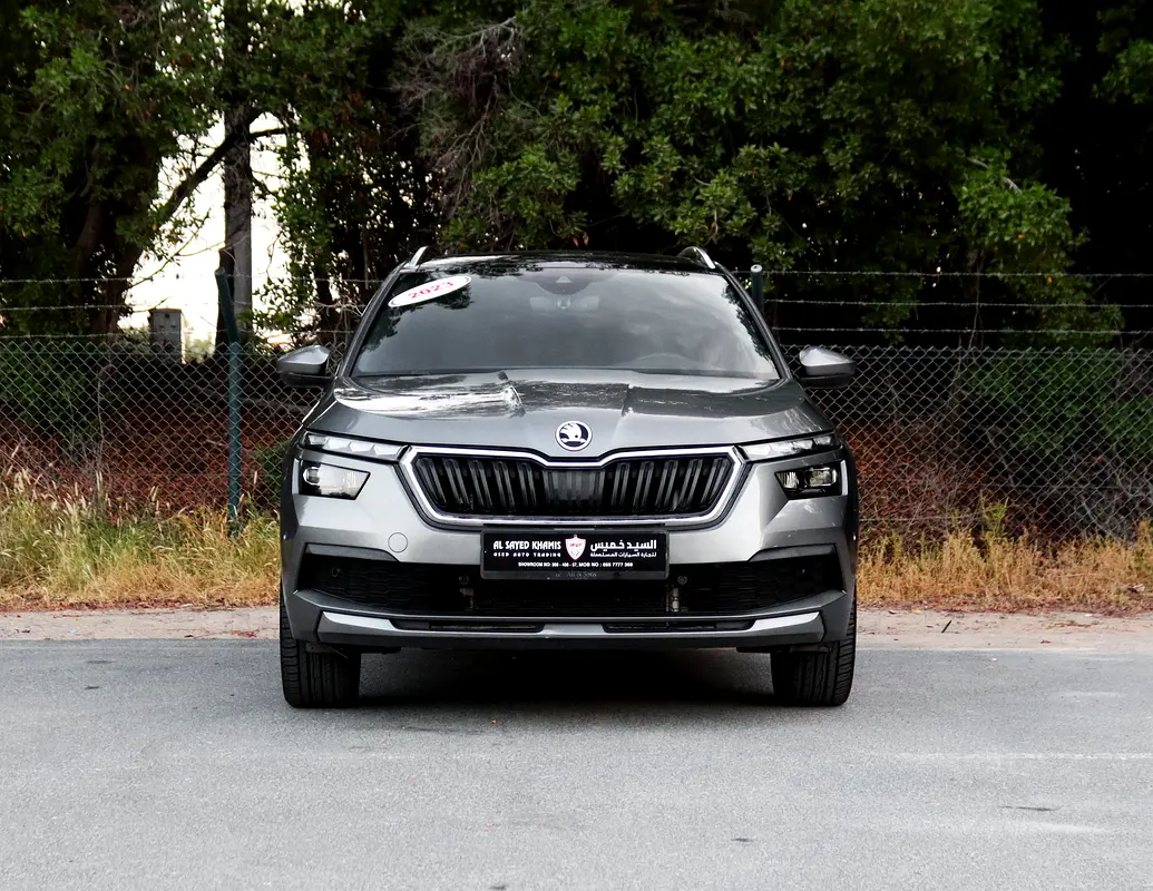 Skoda Kamiq, 2023 — фото 2 из 10