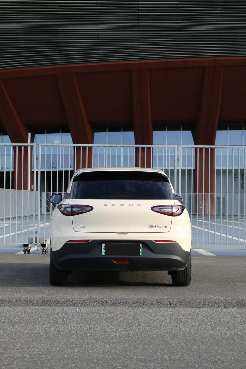 Geely Galaxy Geome, 2025 — фото 4 из 8