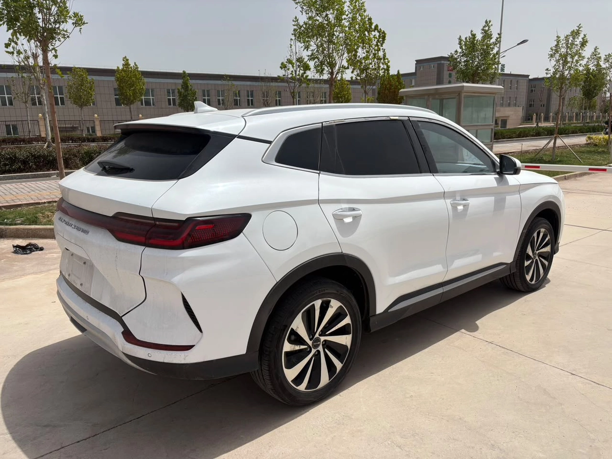 BYD Song Plus, 2024 — фото 10 из 10