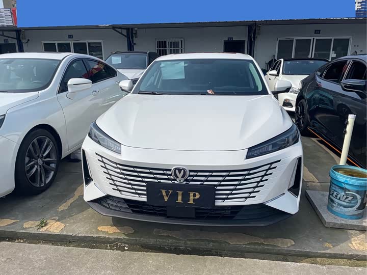 Changan Eado Plus, 2024 — фото 3 из 9