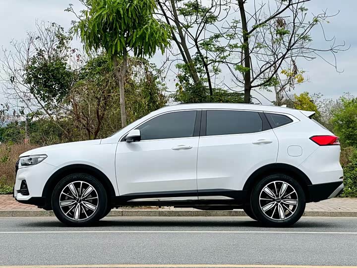 Haval H6, 2024 — фото 3 из 9