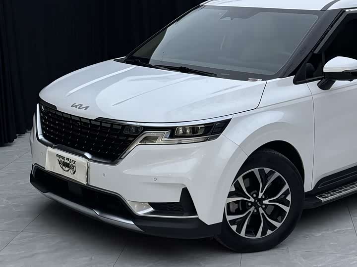 Kia Carnival, 2023 — фото 2 из 9