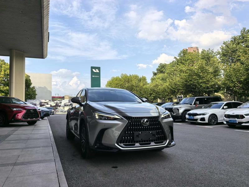 Lexus NX, 2023 — фото 3 из 12
