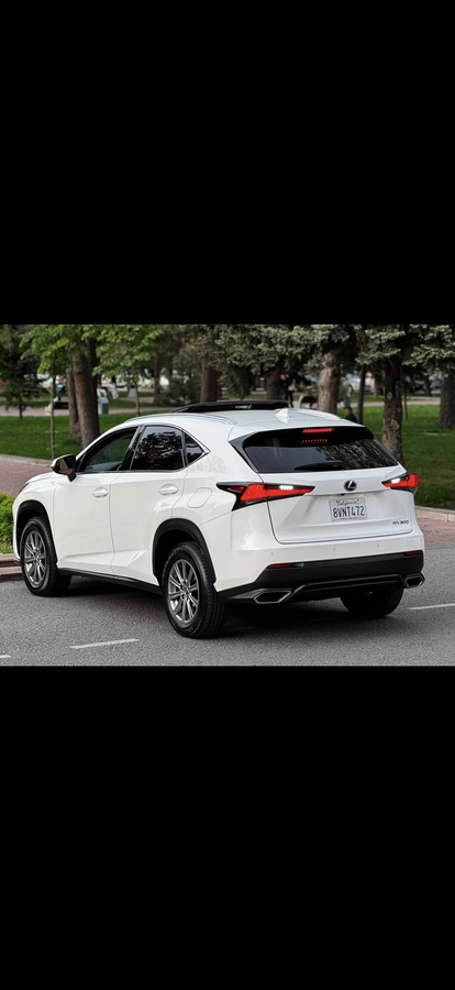 Lexus NX, 2021 — фото 11 из 12