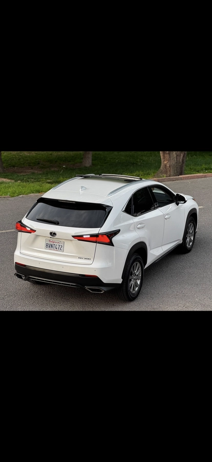 Lexus NX, 2021 — фото 7 из 12