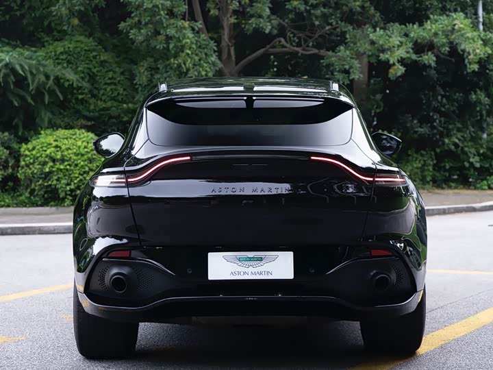 Aston Martin DBX, 2021 — фото 7 из 9