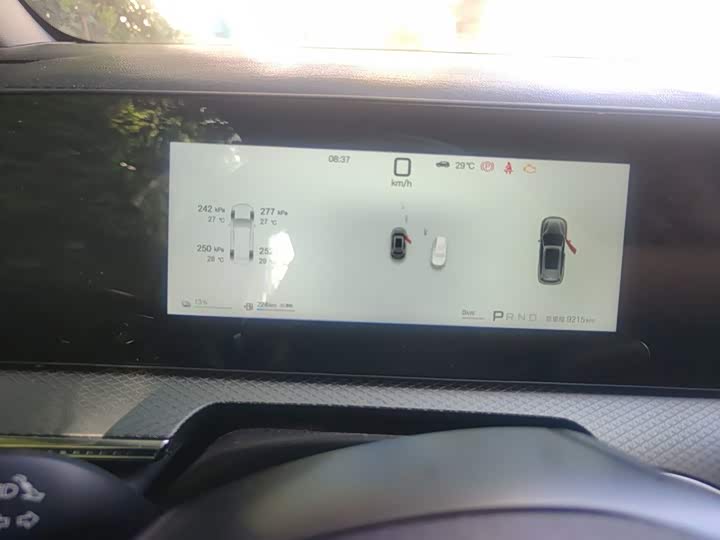 BYD Song Pro Hybrid, 2025 — фото 7 из 9