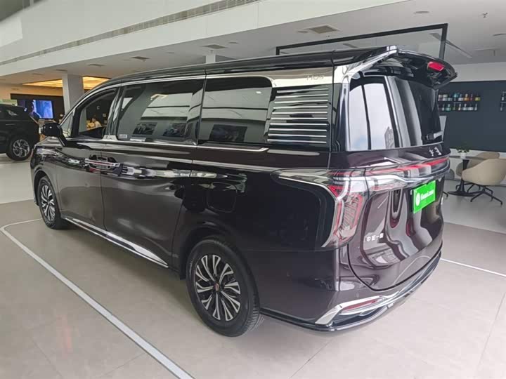 Hongqi HQ9 Hybrid, 2024 — фото 5 из 9