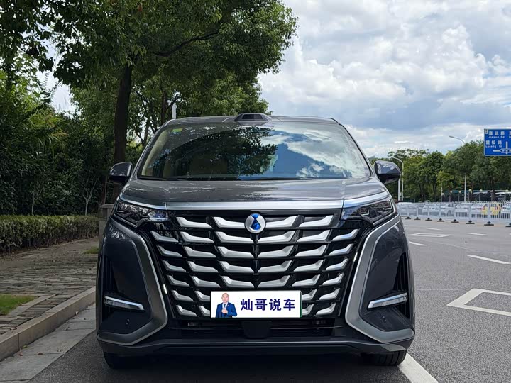 Denza D9, 2024 — фото 3 из 9