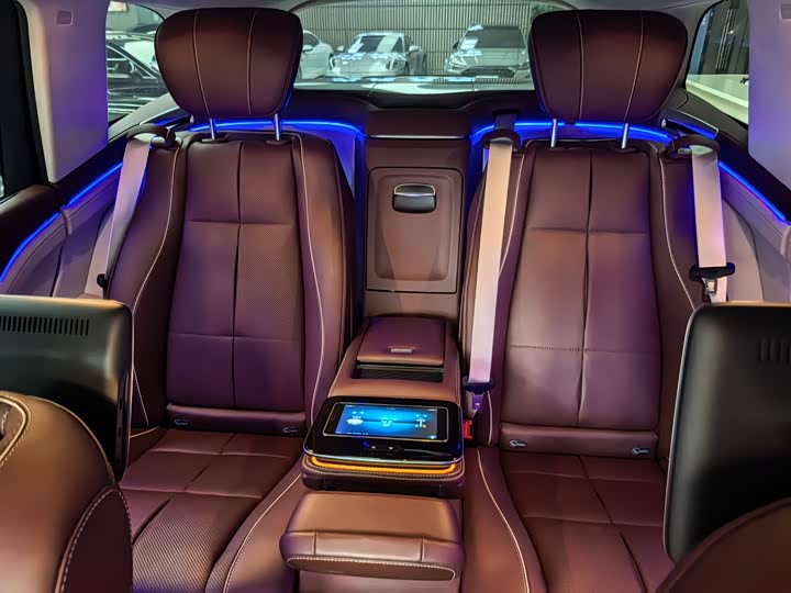 Mercedes-Benz Maybach GLS, 2021 — фото 8 из 9