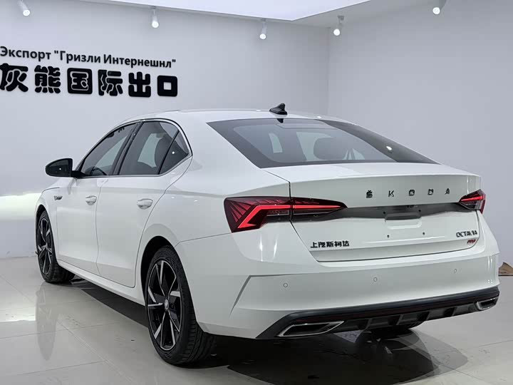 Skoda Octavia Pro, 2022 — фото 6 из 9