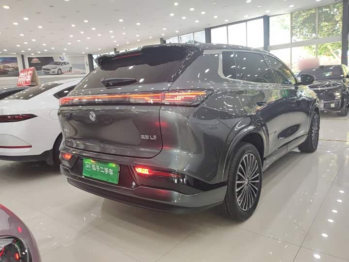Dongfeng Aeolus L8, 2025 — фото 7 из 9
