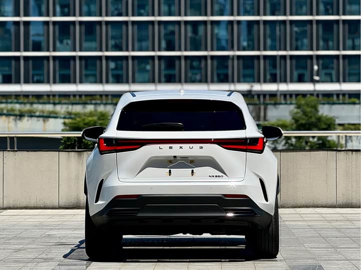 Lexus NX, 2022 — фото 4 из 9