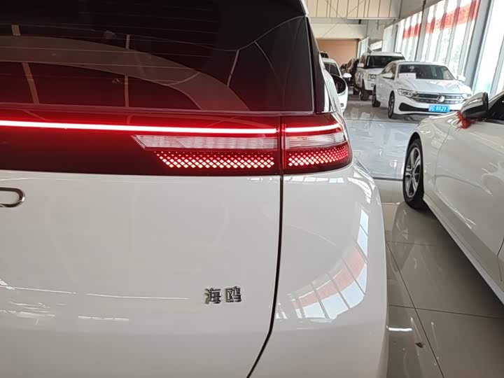 BYD Seagull, 2024 — фото 8 из 9