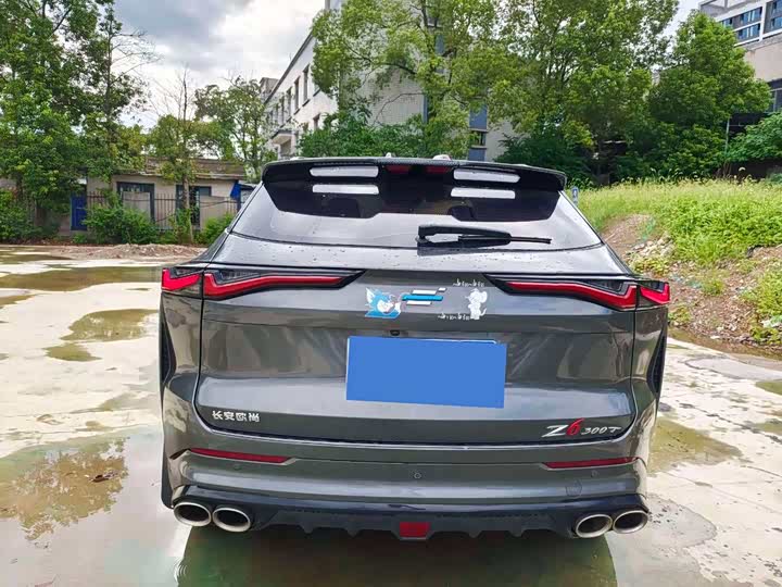 Changan Oshan Z6, 2022 — фото 8 из 9