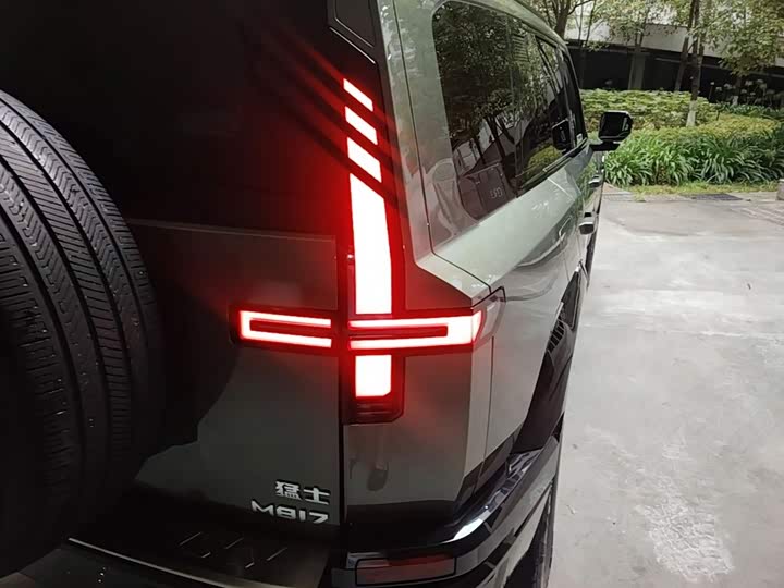 Dongfeng Mengshi M18-3, 2025 — фото 8 из 9