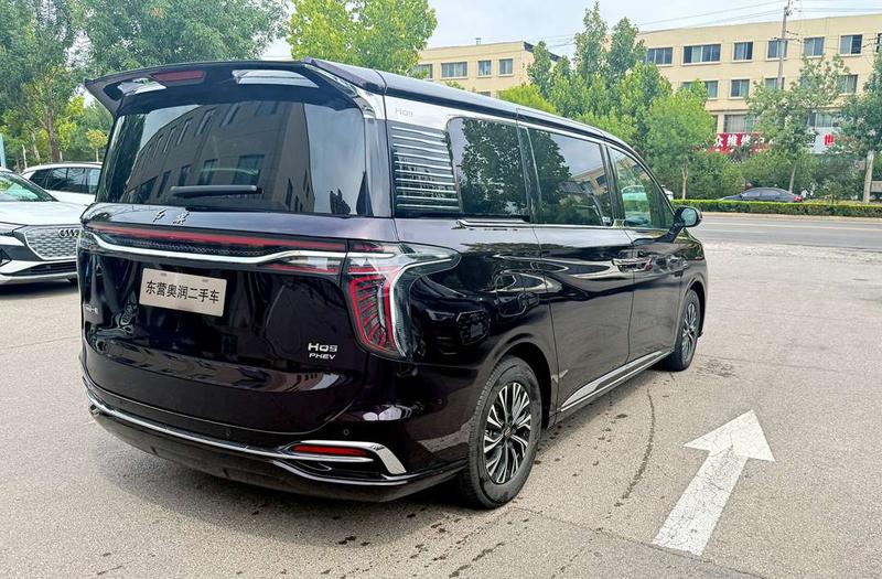 Hongqi HQ9 Hybrid, 2023 — фото 5 из 10