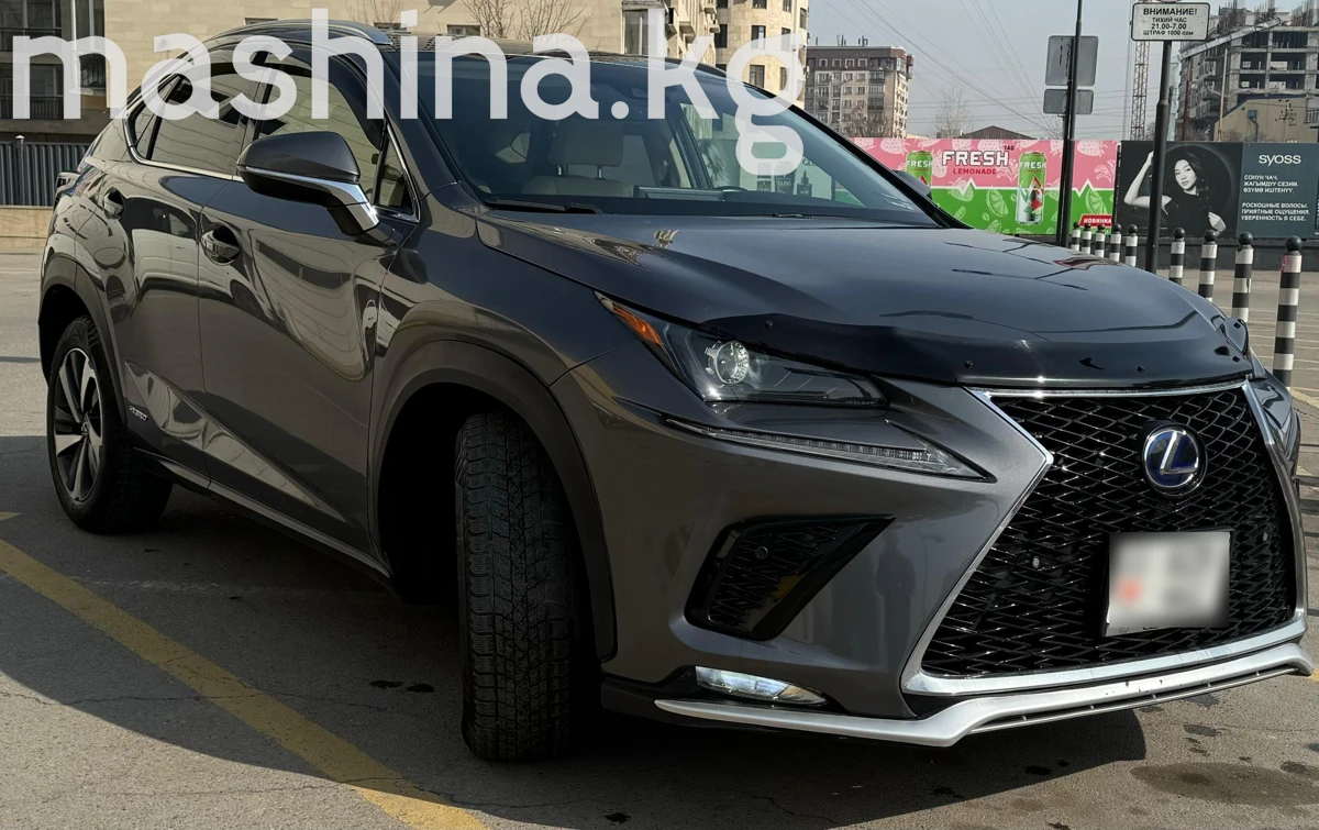 Lexus NX, 2021 — фото 5 из 6