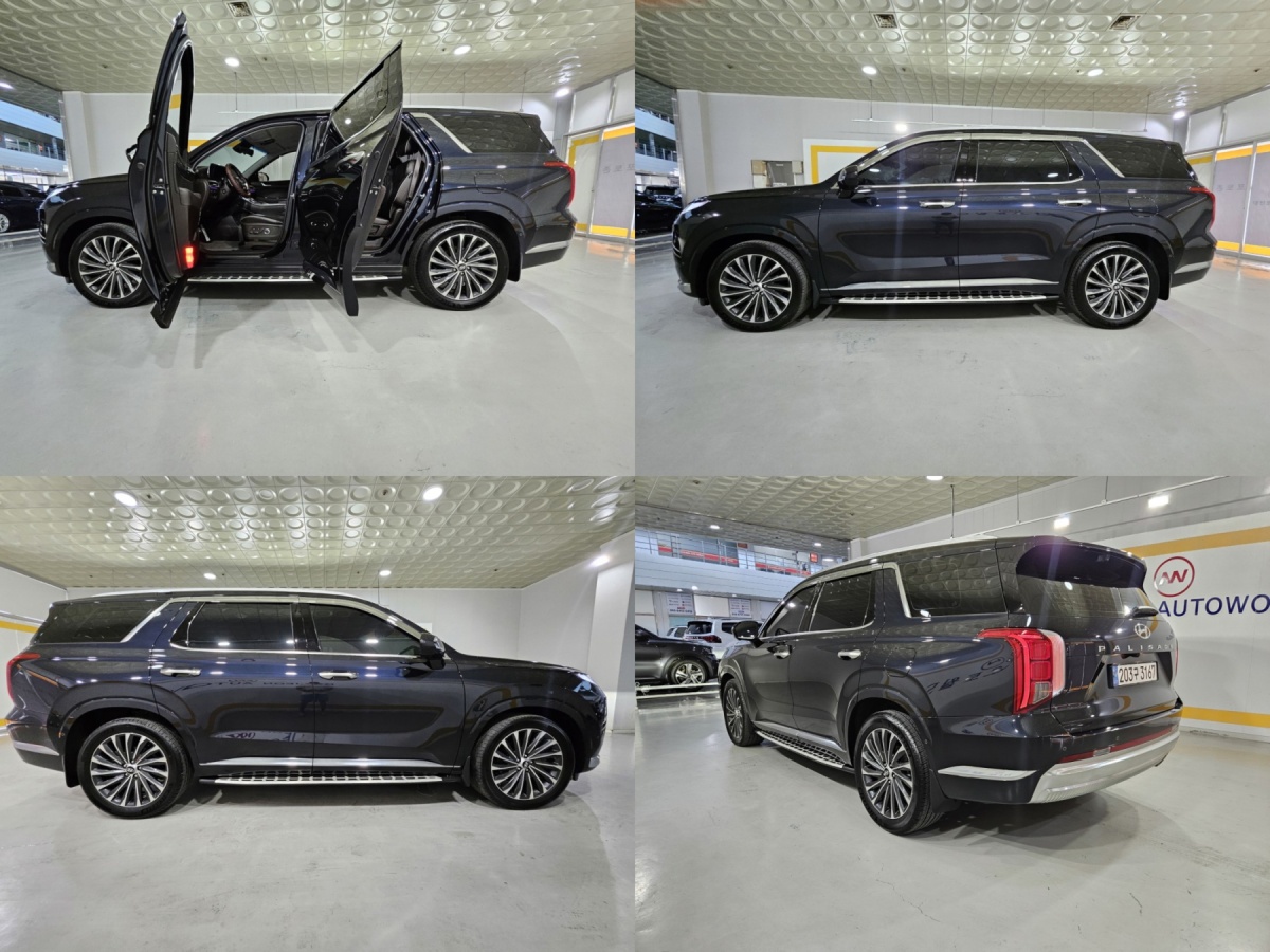 Hyundai Palisade, 2022 — фото 7 из 12