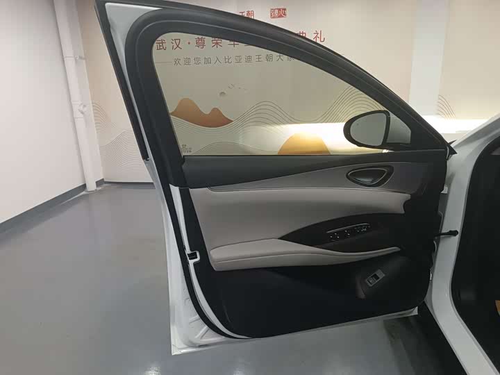 BYD Seal 06 Hybrid/EV, 2025 — фото 7 из 9