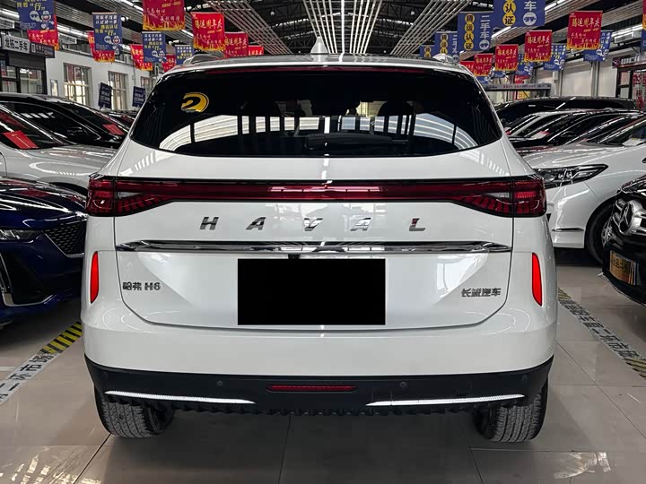 Haval H6 Hybrid, 2022 — фото 5 из 9