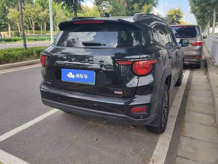 Haval H-Dog Hybrid, 2024 — фото 3 из 9