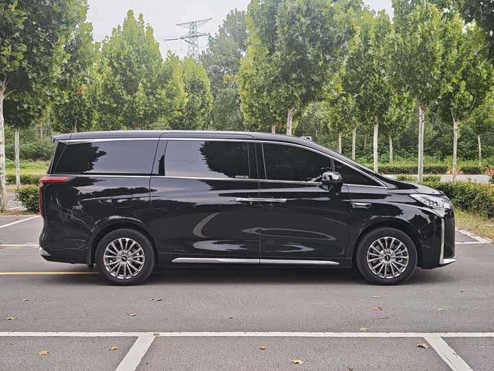 Wey 80 Hybrid, 2025 — фото 4 из 9