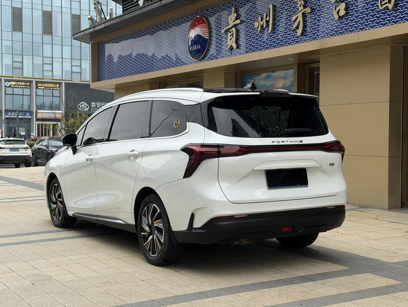 Dongfeng Forthing Yacht, 2023 — фото 4 из 11