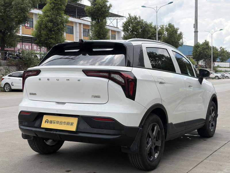 Geely Geometry E Firefly, 2023 — фото 6 из 10