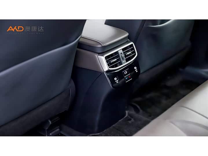 Lexus RX Hybrid, 2023 — фото 9 из 9