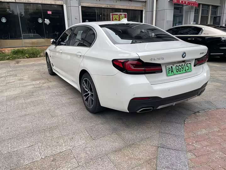 BMW 5 Series Hybrid, 2021 — фото 9 из 9