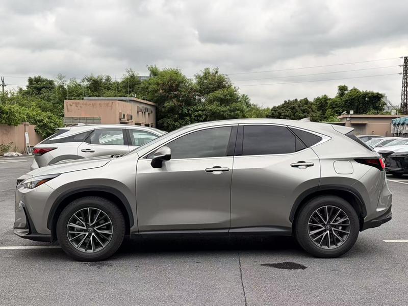 Lexus NX, 2026 — фото 3 из 10
