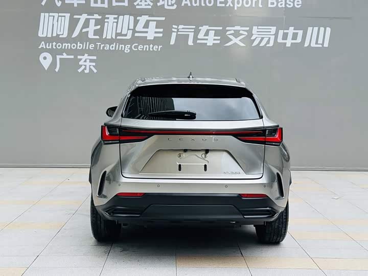 Lexus NX, 2023 — фото 5 из 9