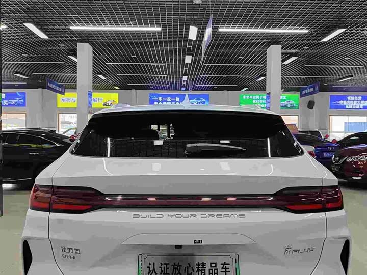 BYD Song Plus Hybrid/EV, 2024 — фото 5 из 9