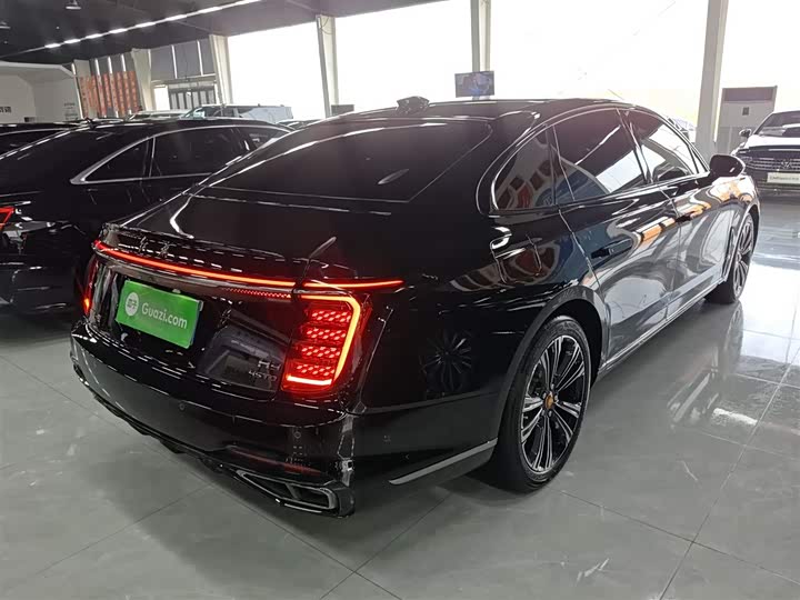 Hongqi H9, 2024 — фото 7 из 9