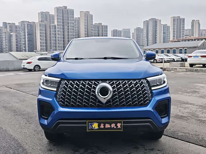 Great Wall Pao, 2024 — купить в Костроме под ключ