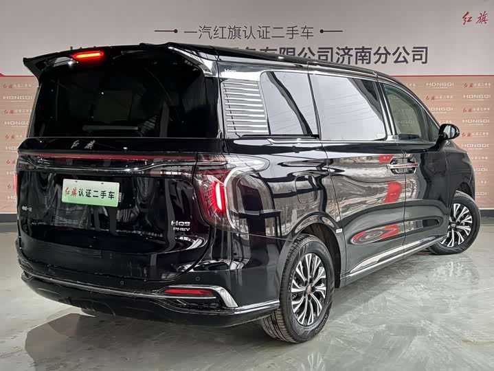 Hongqi HQ9 Hybrid, 2024 — фото 5 из 9