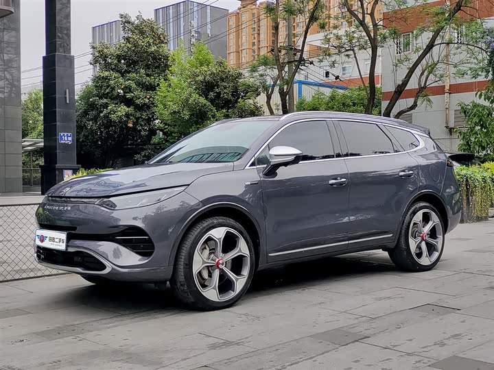 Denza X, 2021 — купить в Тамбове под ключ