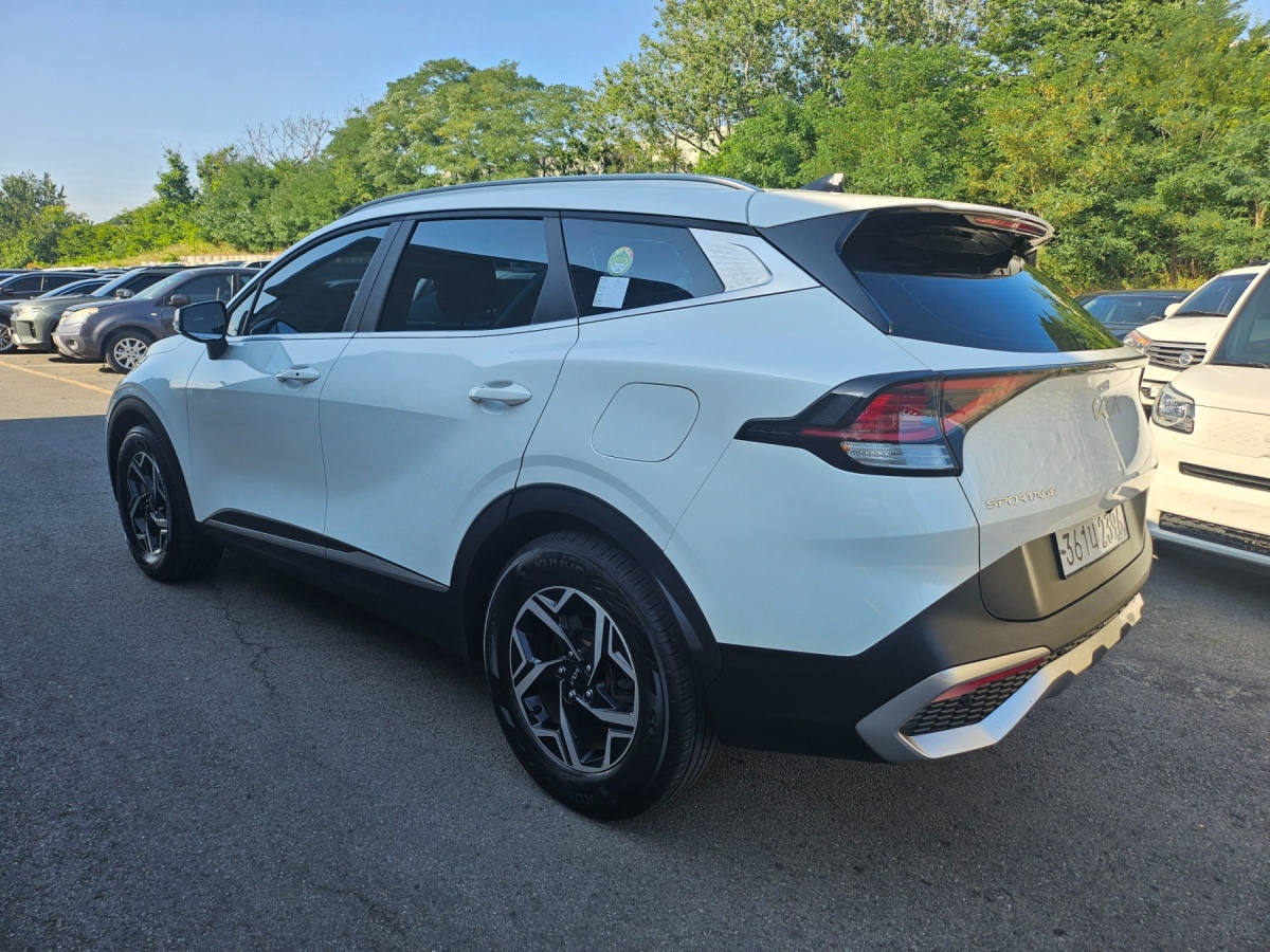 Kia Sportage, 2023 — фото 4 из 12