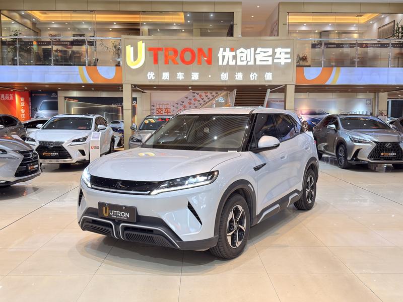 BYD Yuan Up, 2024 — купить в Перми под ключ