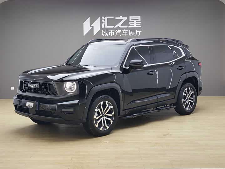 Haval H-Dog, 2024 — купить в Рязани под ключ