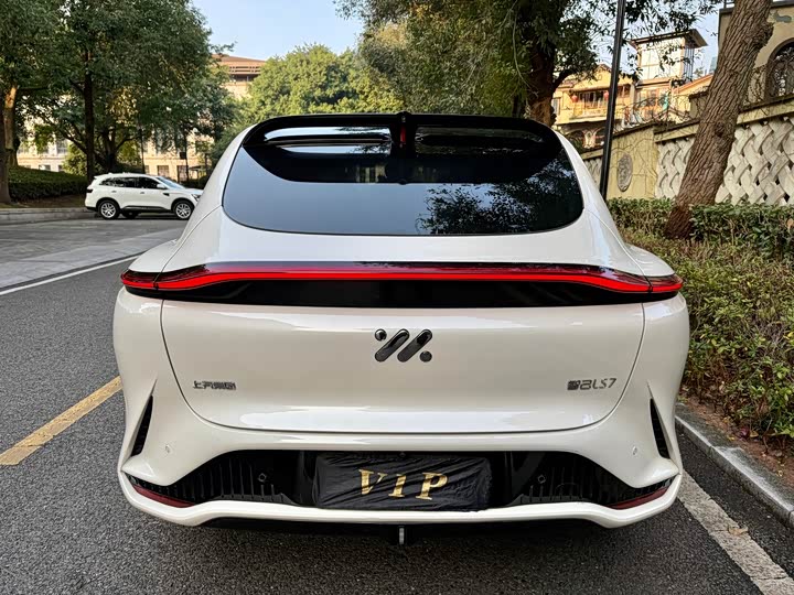 IM motors LS7, 2023 — фото 6 из 9
