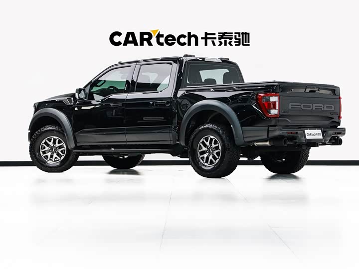 Ford F-150 Raptor, 2023 — фото 6 из 9