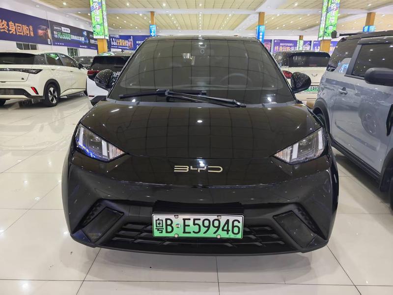 BYD Seagull, 2023 — фото 2 из 11
