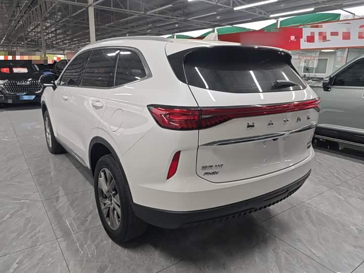 Haval H6 Hybrid, 2023 — фото 5 из 9