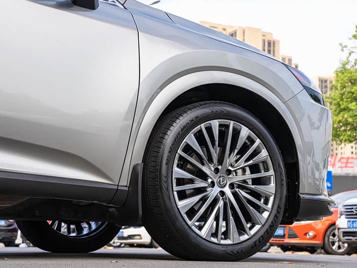 Lexus RX Hybrid, 2023 — фото 8 из 9