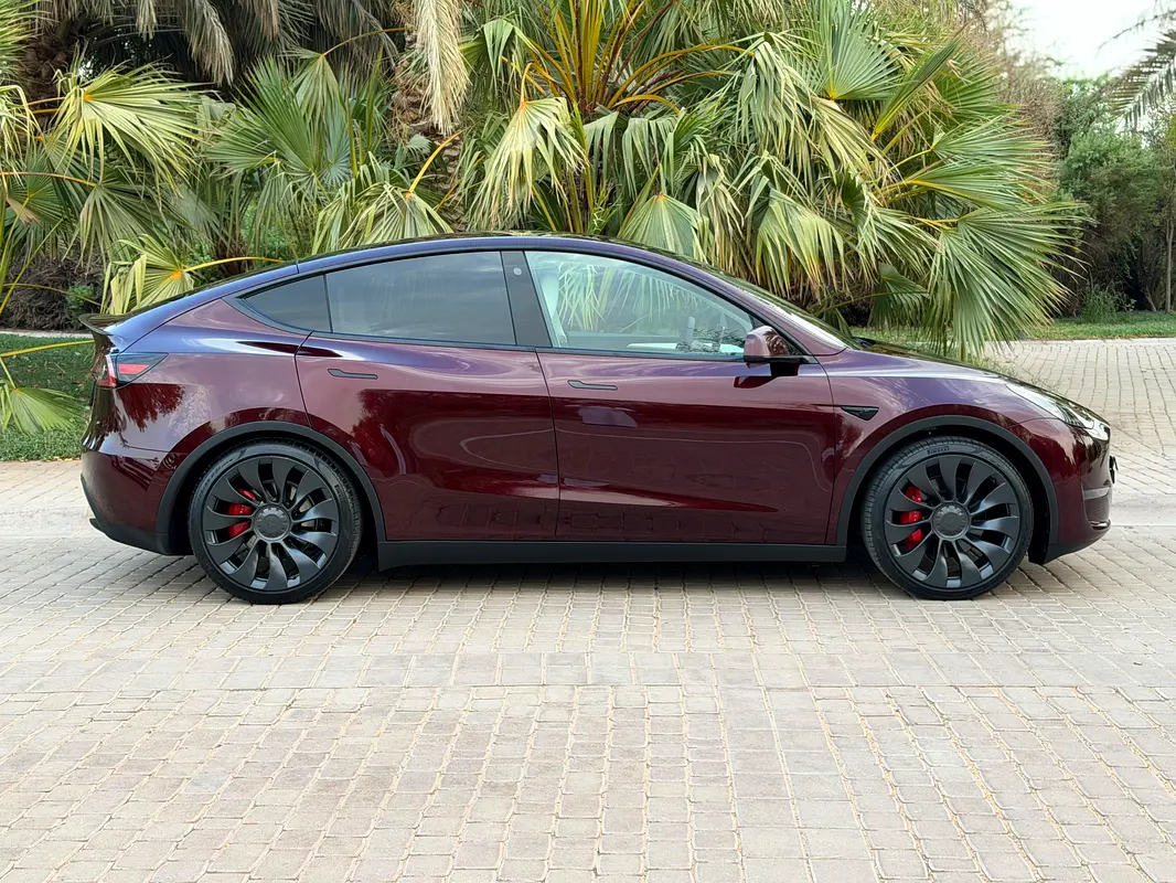 Tesla Model Y, 2024 — фото 6 из 10