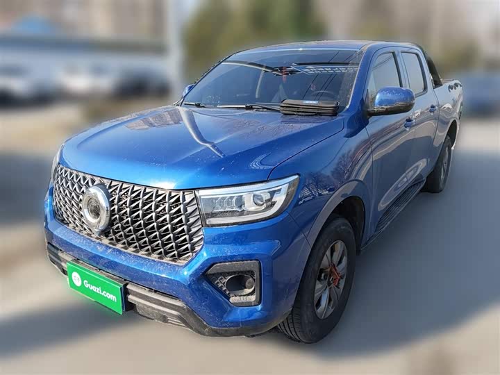 Great Wall Pao, 2023 — купить в Орле под ключ